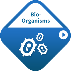 graph bio-organisms